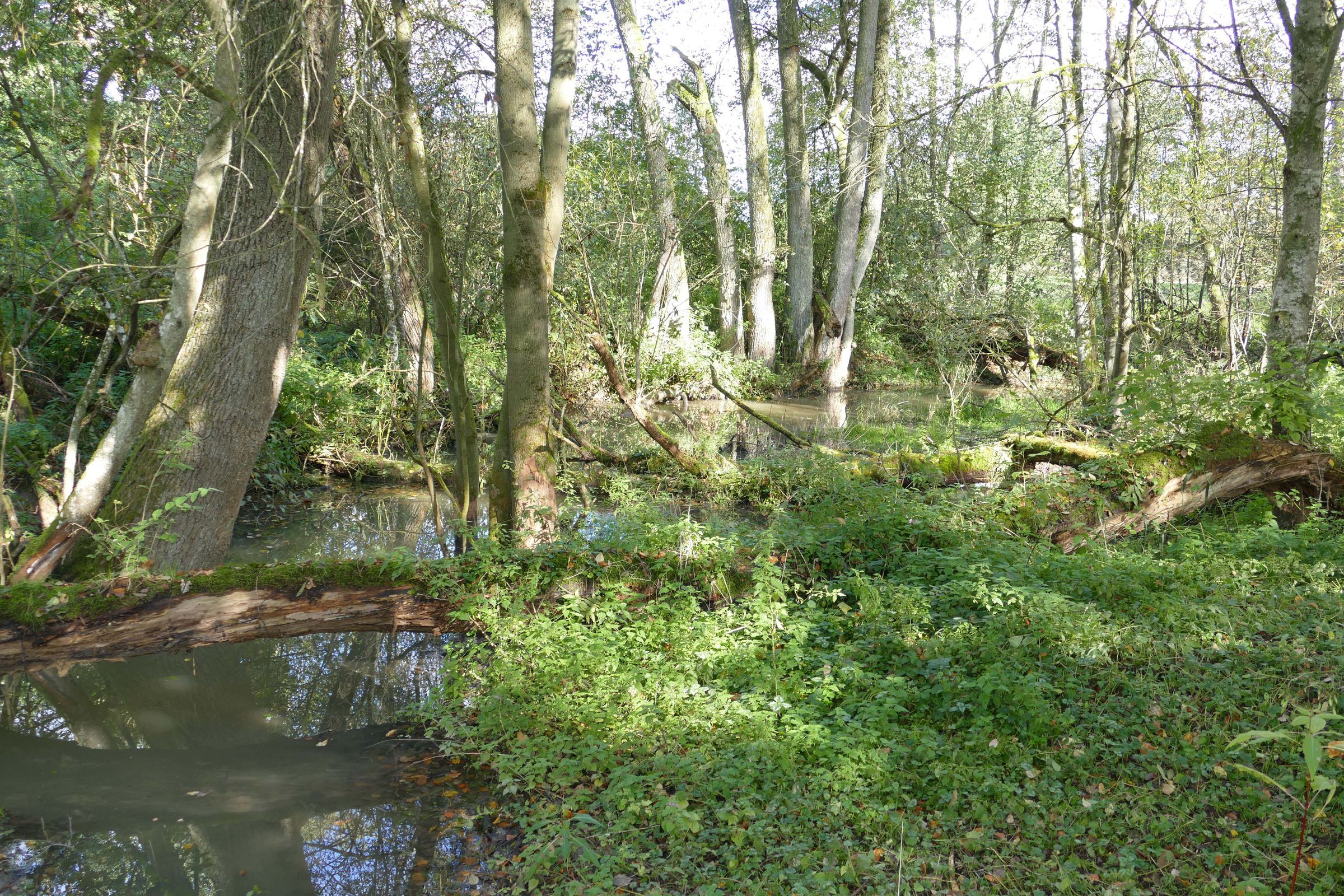 Biotop Sulzbachtal Biotop Sulzbachtal